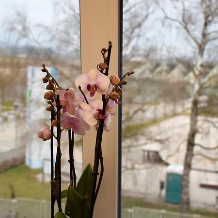 Gæstehus Pr'šefu Brežice