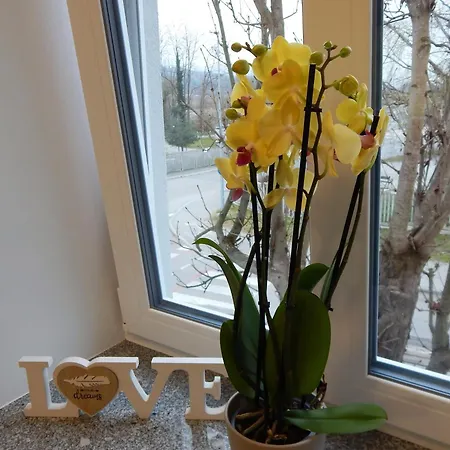 Pr'sefu Guest house Brezice